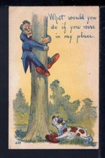 Postcard - Comic - If You Were In My Place picture
