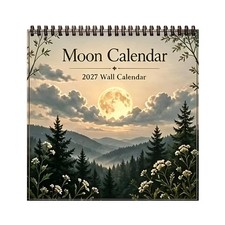 2027 Wall Calendar Moon Calendar Month to View Planner Calendar picture
