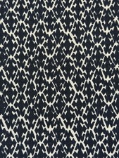 Quadrille China Seas Izmer Hand Printed Fabric  4 1/2 Yards Suncloth picture