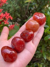 Carnelian Pebble, 1.5-2 Inch Large Tumbled Carnelian Stones, Pick How Many picture