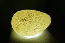 White Sheba - Cintamani - 19g - More rare than Saffordite Tektite #whx12 picture