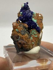 Azurite Rosettes with Malachite From Bisbee, Arizona picture