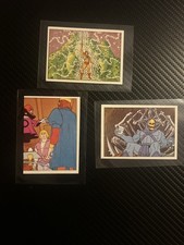 He-Man ROOKIE SKELETOR Masters of The Universe MOTU Italian Foreign PANINI 1983 picture