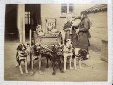 Rare c.1890 Albumen Print Working Dogs Milk Cart Antwerp Belgium G. Zazzarini picture