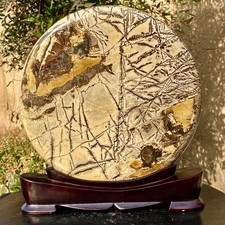 9.7LB Beautiful Natural Chinese Dendritic Limestone Picture Stone Guohua - Rare picture