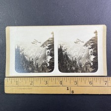 Illecillewaet Glacier Stereoview British Columbia Canada c1898 Mountain picture