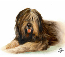 ❦ ORIGINAL Oil Dog Portrait Painting POLISH LOWLAND SHEEPDOG Artist Signed Art picture