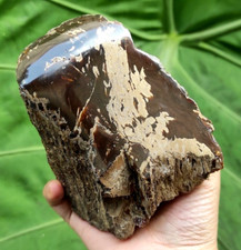 289GR NATURAL AMBER PARTLY POLISHED,CLEAR DARK REDDISH BROWN,A CILCULAR HOLER picture