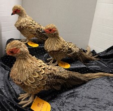 Lot Of 3 PHEASANTS CRAFTED NATURAL STRAW, FEATHERS ,OTHER DRIED MATERIAL NEW TAG picture