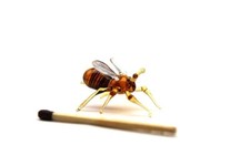 Glass Bee Blown Collectible Figurine honey bee 7 Days Delivery, Art Glass, Blown picture