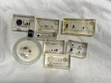 Vintage Medical Entomology Specimen Lot Bed Bug Tick Mosquito Fly Rocky Mountain picture