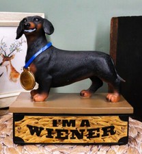 Award Trophy Dachshund Puppy Dog With Gold Medal Standing On Stage Figurine picture