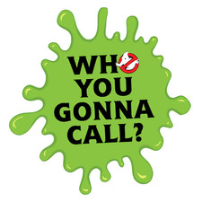 GhostBusters Who you gonna call? Vinyl Sticker Decal 18