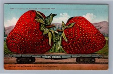 Exaggeration Mammoth Strawberries Railroad Car Edward Mitchell Postcard Fantasy picture