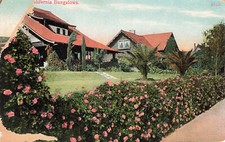 BUNGALOWS RESIDENCE SCENE WITH PINK FLOWERS POSTCARD SOUTHERN CA CALIFORNIA 1907 picture