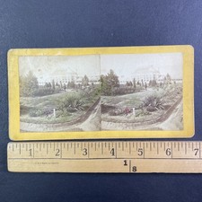 Shaw's Missouri Botanical Garden Stereoview Boehl & Koenig St. Louis 1870s picture