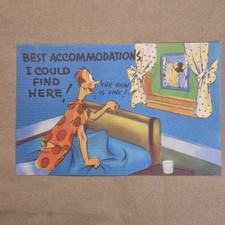 Vintage Comic Postcard Best Accommodations I Could Find Here Unused picture