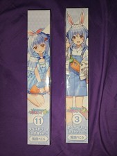 Hololive Usada Pekora Tapestry Set Room + Outing Ver. Hololife Kuji picture
