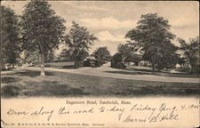 Sandwich MA Road Scene Sagamore Road M. & G. Co. c1905 Vintage Postcard picture