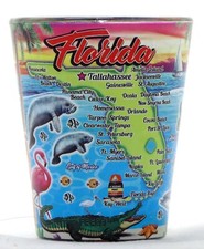 Florida Scene In and Out Shot Glass picture