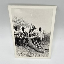 1969 3x5” BW Photo-Hunting Group Rifle Dead Elephant Tusks Africa Safari picture