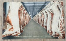 VTG 1919 Postcard Swift & Company Beef Cooler Chicago IL Illinois Meat Factory picture