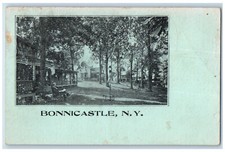 c1905 Residences at Bonnicastle New York NY Antique Unposted Postcard picture
