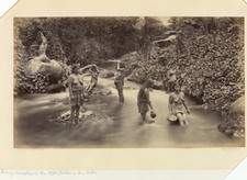 Eadweard Muybridge Coffee Pickers Vintage 1870s Photo Reprint Wall Art picture