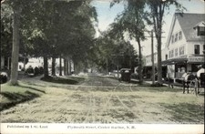 Center Harbor NH Plymouth Street I. G. Lunt c1900s-10s Vintage Postcard picture