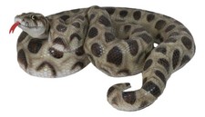 Realistic Ferocious Coiled Boa Snake Hand Painted Taxidermy Statue 17