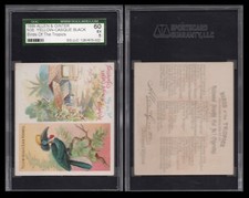 1889 N38 ALLEN & GINTER BIRDS OF THE TROPICS