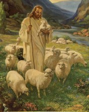 Catholic print picture - GOOD SHEPHERD - 8