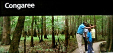 Congaree National Park South Carolina National Park Service Unigrid Brochure Map picture