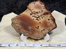 A+ Owyhee Dendritic Jasper Slab, Lot #250 picture