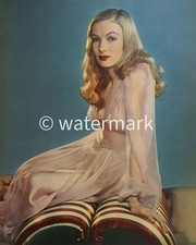 Vintage Veronica Lake 8x10 – 1940s Celebrity Photo - Golden Age Actress Glamour picture