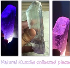 165g Natural  Kunzite Crystal - Huge Raw Museum Collector Piece From @Afghanista picture