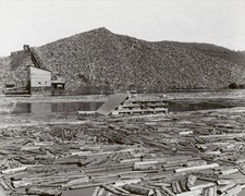 Brown Company Pulpwood Pile at Mill Berlin NH New Hampshire 8x10 photo picture