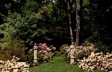 Winterthur Gardens, Delaware, 1969 Postcard picture