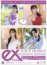 Juicy Honey 26 Exquisite Edition Riko Hoshino 九十九 Autograph 89/99 picture