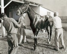 1964 Champion Race Horse KELSO and Handlers Photo  (139-O) picture