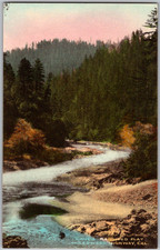 Vintage c1920s Postcard Lane's Redwood Flat Highway California Hand-Colored picture
