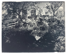 c. 20s 30s NEW YORK CITY NTY GLASS SLIDE Vtg Photo CENTRAL PARK OOAK picture