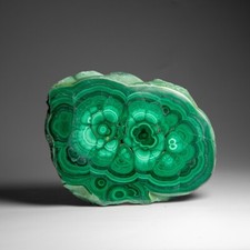 Genuine Polished Malachite Stalactite Slice (1.6 lbs) picture