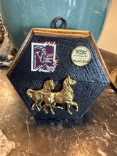 RARE EUC Trace Mayer Museum Bee with Derby Pins and Horse 2018 Always Dreaming picture