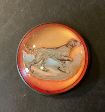 Antique Vtg Horse Bridal Pin Glass Brass Dog Button Setter Irish English Gordon picture