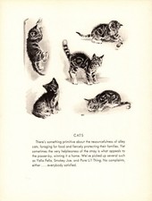 1946 Antique KITTENS Art Print Vintage Morgan Dennis Cat Art Study Print 7046e picture