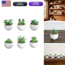 Nearly Natural 3 in Artificial Mini Succulent White Planters Set of 6 picture