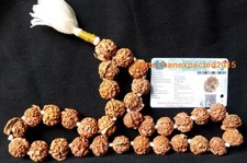 GANESHA GANESH RUDRAKSHA OM KANTHA GANPATI TRUNK POWER SIDDHA MALA ~NEPAL~LAB picture