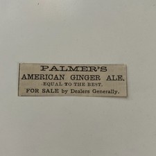 Palmer's American Ginger Ale For Sale 1881 Washington DC Clipping TAJ8-S41 picture
