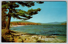 c1950s Greetings From WIlliams Minnesota Serene Lake View Vintage Postcard picture